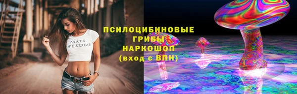 СК Армянск
