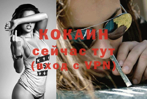 бошки Арсеньев