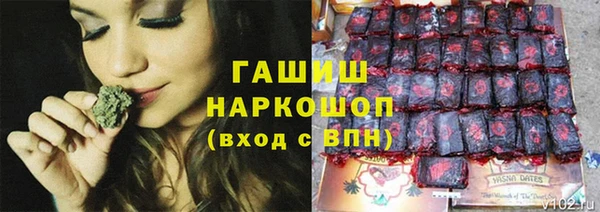 мдпв Богородицк