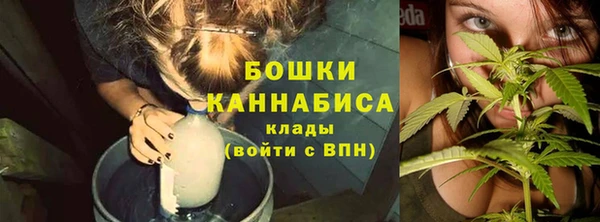 бошки Арсеньев