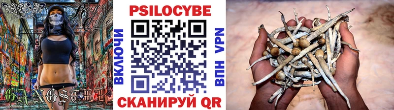Галлюциногенные грибы GOLDEN TEACHER  omg вход  Саров  наркотики 